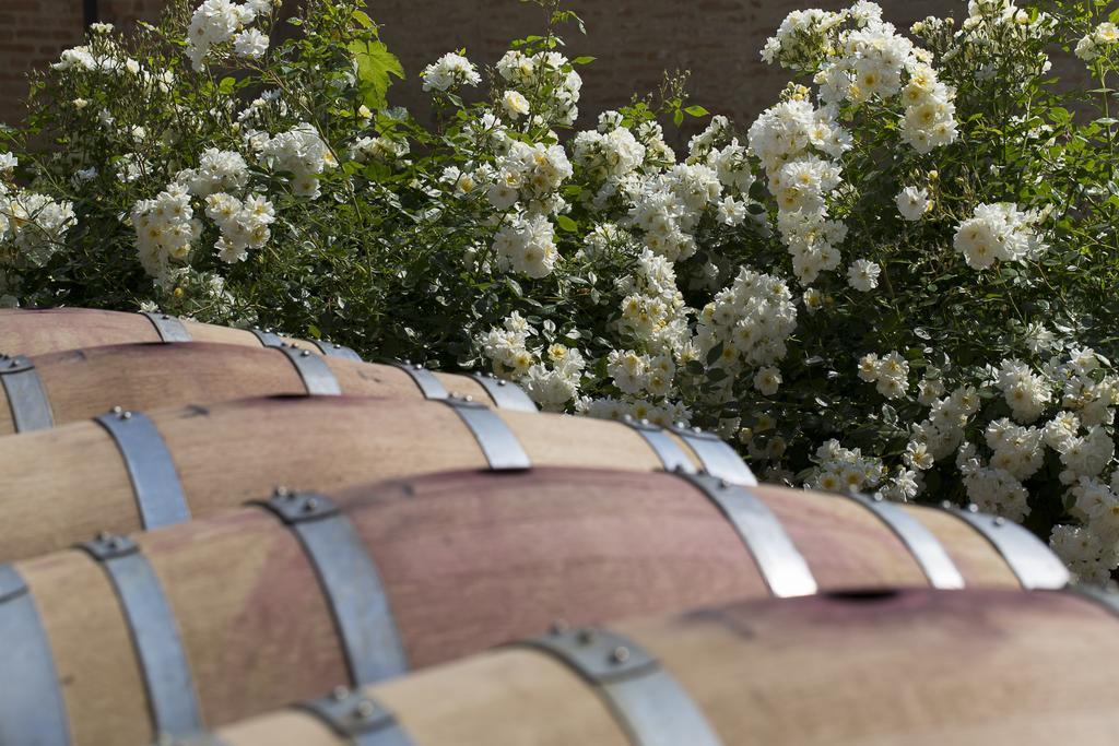 Marchesi Alfieri - Cantine E Ospitalita San Martino Alfieri Dış mekan fotoğraf