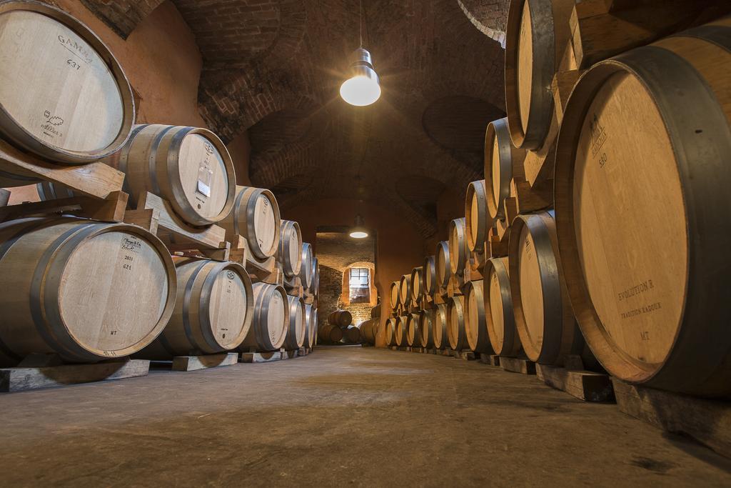 Marchesi Alfieri - Cantine E Ospitalita San Martino Alfieri Dış mekan fotoğraf